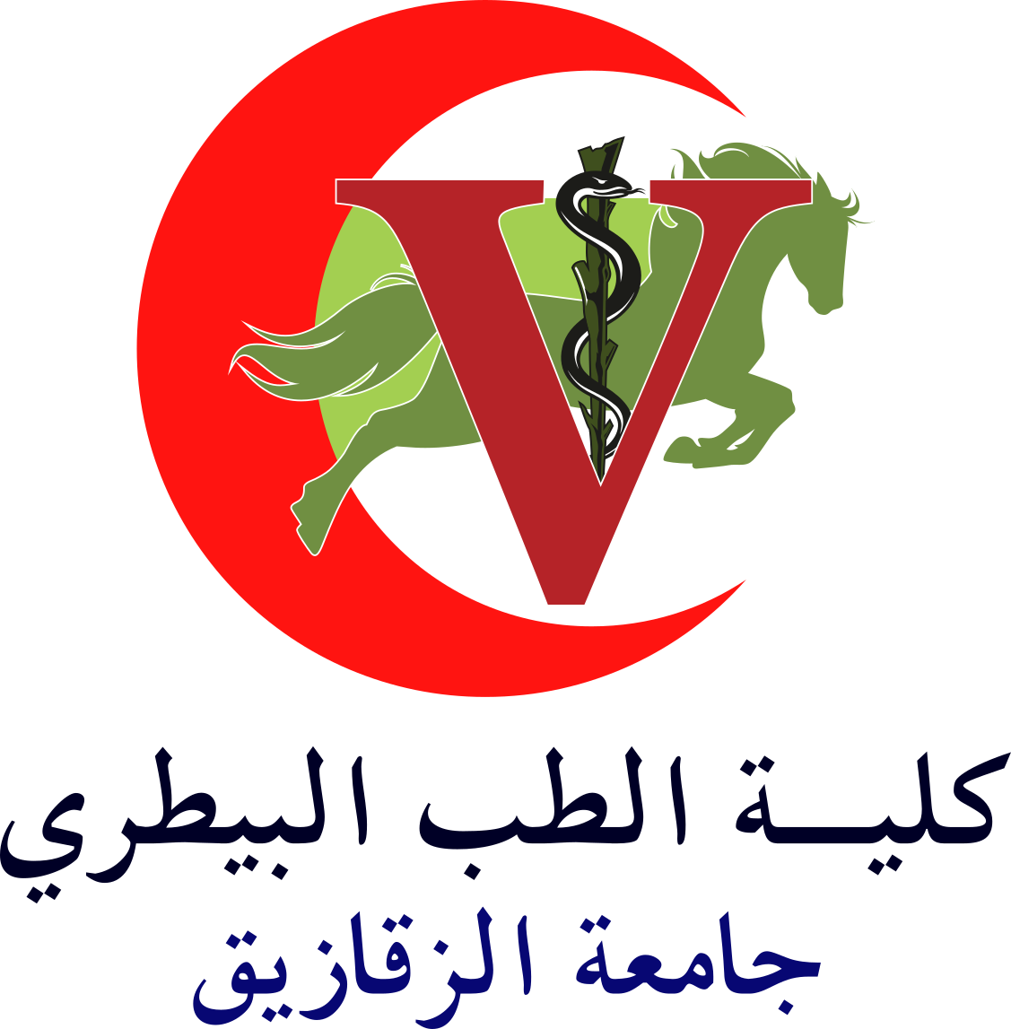 Faculty of Veterinary Medicine, Zagazig University